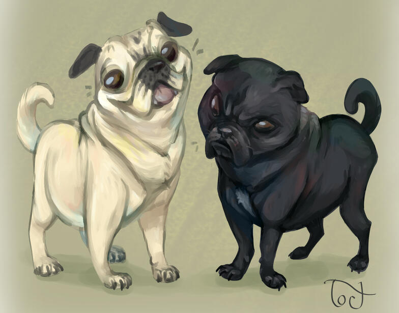 Fullbodies/Compositions